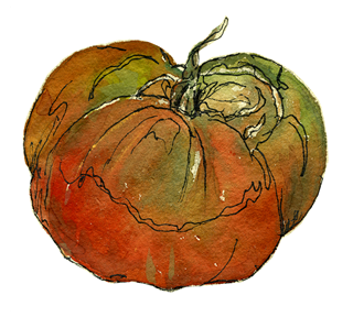 tomato1.jpg Sticker