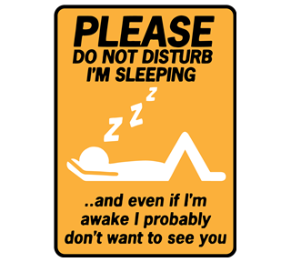 Please Do Not Disturb Sticker