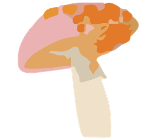 Amanita Sticker