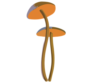 Honey Mushrooms Sticker