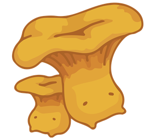 Kawaii Chanterelle Sticker