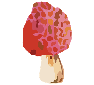 Morel Sticker