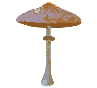 Parasol Mushroom Sticker