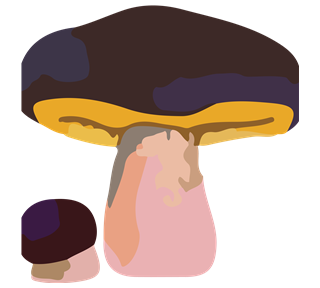 Russula Lilac Sticker