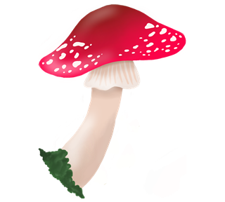 Whimsical Amanita Mushroom Sticker