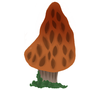 Whimsical Morel Mushroom Sticker