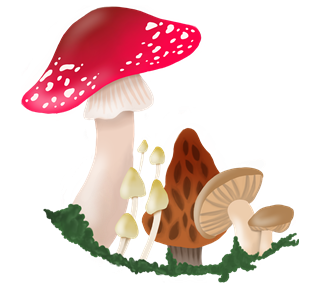 Whimsical Mushrooms Sticker