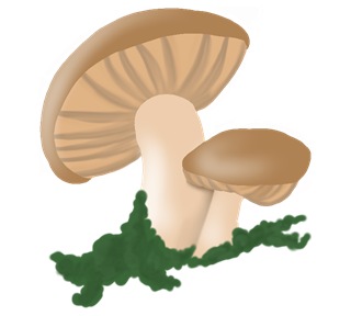 Whimsical Shiitake Mushroom Sticker