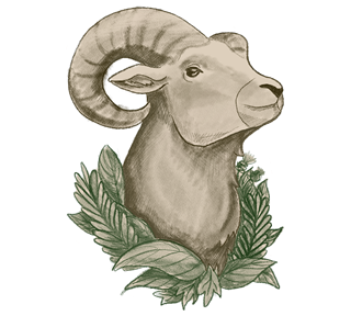 Nature Goat Head Sticker