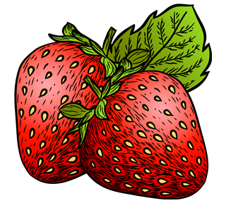 Strawberry Illustration Sticker