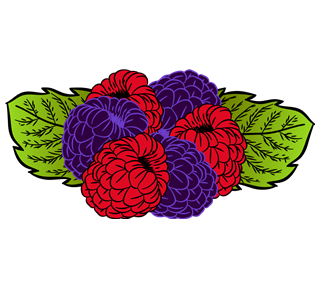 Raspberry Illustration Sticker