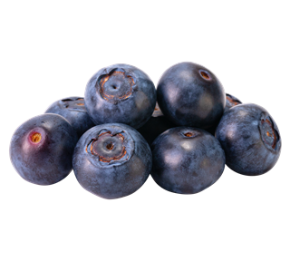 Blueberry bunch Sticker