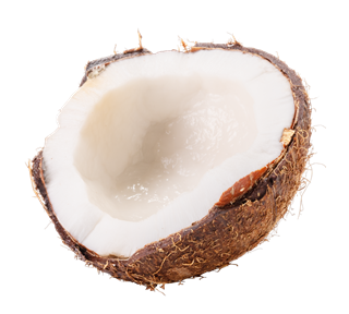 Coconut Opened Sticker