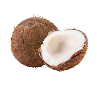 Coconut Whole and Opened Sticker