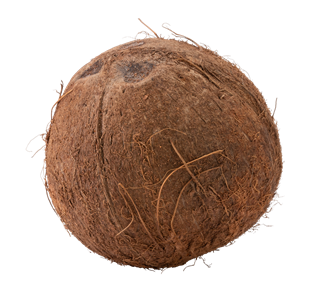 Coconut Whole Sticker