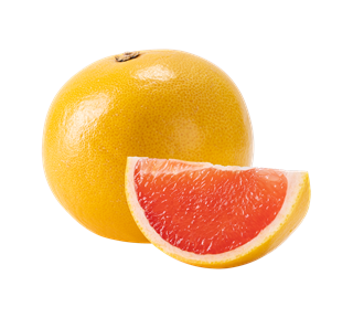 Grapefruit Whole and Sliced Sticker