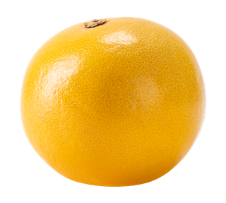 Grapefruit Whole Sticker