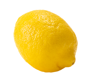 Lemon Whole Sticker