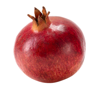 Pomegranate Whole Sticker