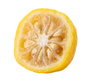 Yuzu Halved Sticker