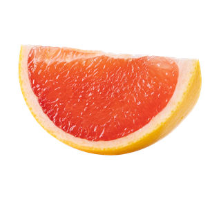 Grapefruit Slice Sticker