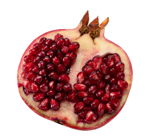 Pomegranate Halved Sticker