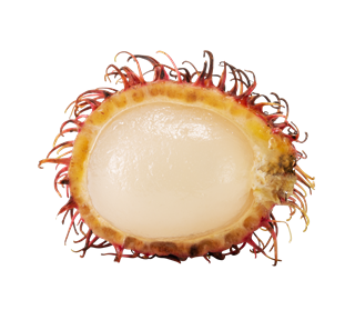 Rambutan Halved Sticker