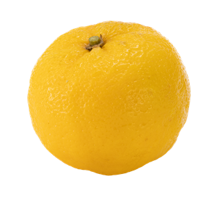 Yuzu Whole Sticker