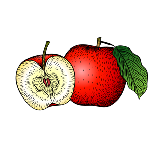Apple Illustration Sticker