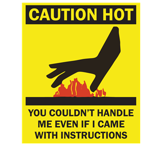 Too Hot to Handle Sticker