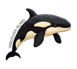 Vancouver Island Orca Sticker