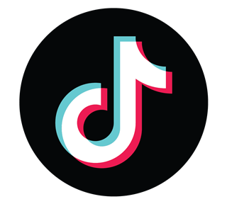 TikTok Colored Circle Sticker
