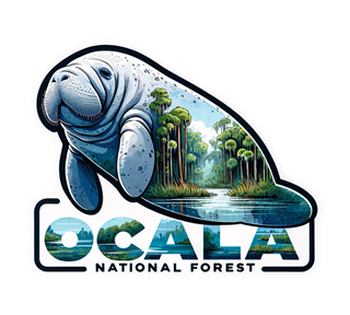 Florida, Ocala National Forest Sticker