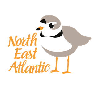 North East Atlantic Sticker