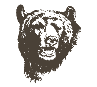 Bear Head Drawing Sticker