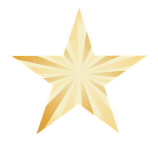 Gold Star Sticker