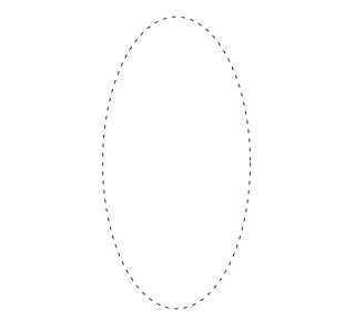 Oval Label Sticker