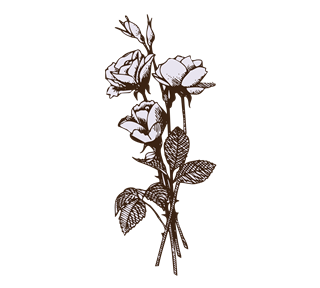 Triple Flower Sketch Sticker