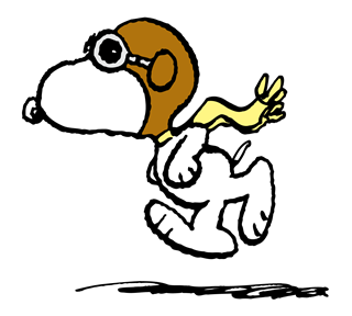 SN_9 Sticker