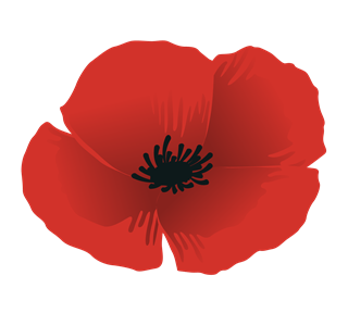 Poppy Flower Graphic Sticker
