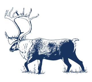 MP_Moose Sticker