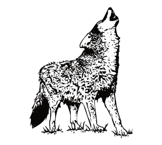 Wolf Howling Sticker