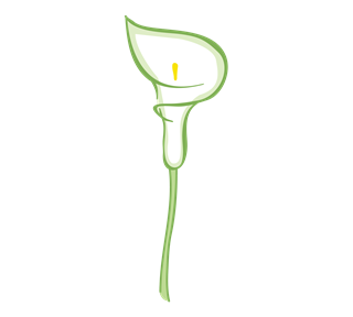 Lily Flower Sticker