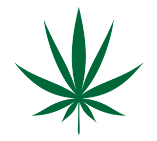 Marijuana Leaf Sticker