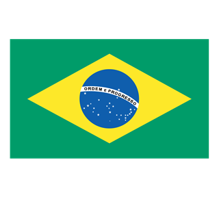Flag of Brazil Sticker