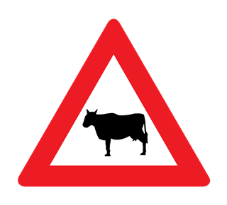 cows Sticker