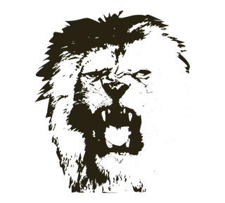 Lion Head Drawing Sticker