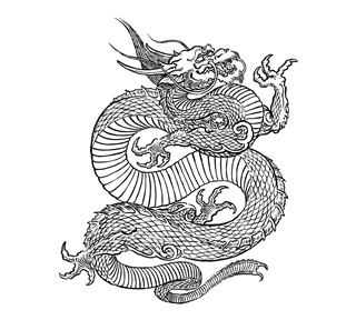 MP_dragon2 Sticker