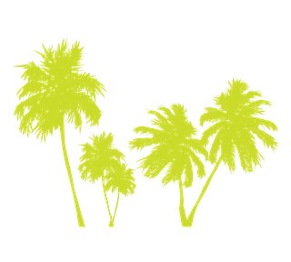 palmtrees Sticker