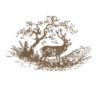 MP_DeerForest Sticker